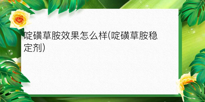 啶磺草胺效果怎么样(啶磺草胺稳定剂)