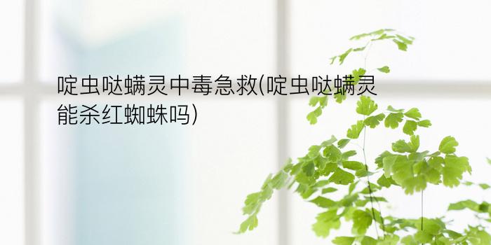 啶虫哒螨灵中毒急救(啶虫哒螨灵能杀红蜘蛛吗)