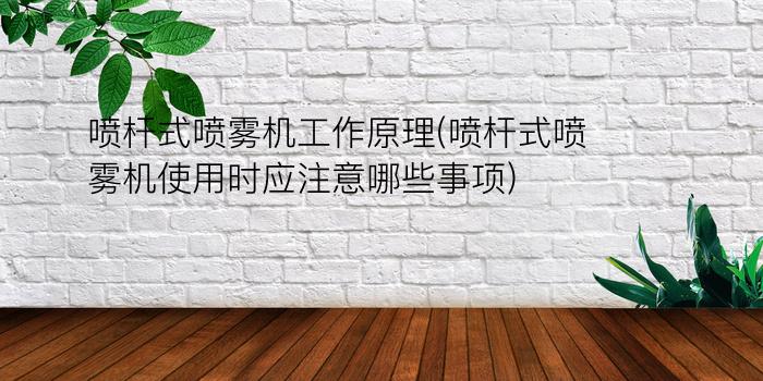 喷杆式喷雾机工作原理(喷杆式喷雾机使用时应注意哪些事项?)