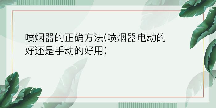 喷烟器的正确方法(喷烟器电动的好还是手动的好用)