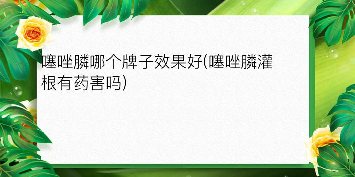 噻唑膦哪个牌子效果好(噻唑膦灌根有药害吗)