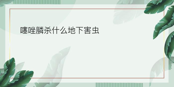 噻唑膦杀什么地下害虫