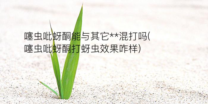 噻虫吡蚜酮能与其它**混打吗(噻虫吡蚜酮打蚜虫效果咋样)