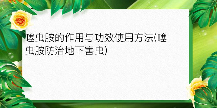 噻虫胺的作用与功效使用方法(噻虫胺防治地下害虫)