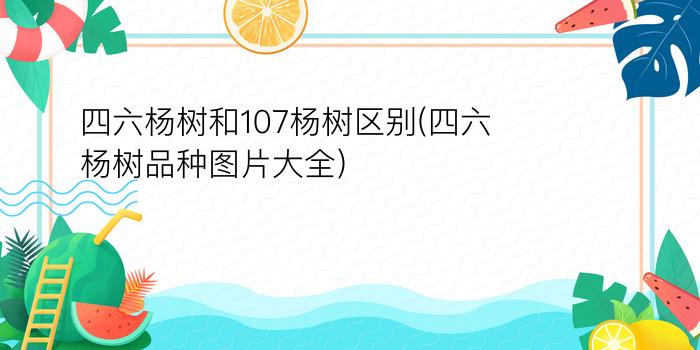 四六杨树和107杨树区别(四六杨树品种图片大全)