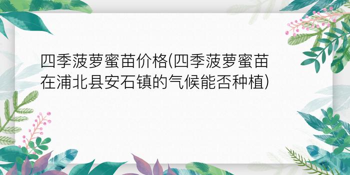 四季菠萝蜜苗价格(四季菠萝蜜苗在浦北县安石镇的气候能否种植)