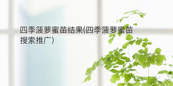 四季菠萝蜜苗结果(四季菠萝蜜苗搜索推广)