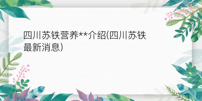 四川苏铁营养**介绍(四川苏铁最新消息)