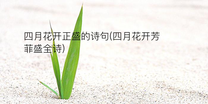 四月花开正盛的诗句(四月花开芳菲盛全诗)