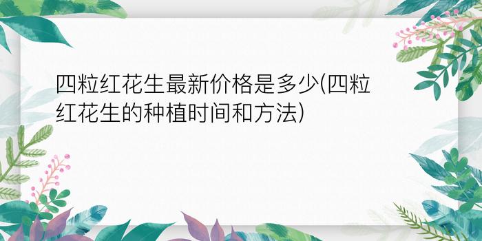 四粒红花生最新价格是多少(四粒红花生的种植时间和方法)