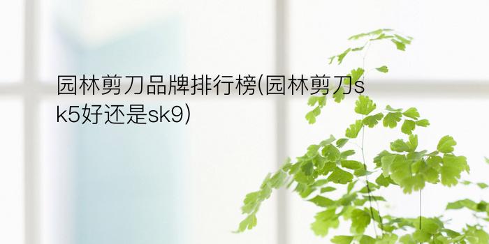 园林剪刀品牌排行榜(园林剪刀sk5好还是sk9)