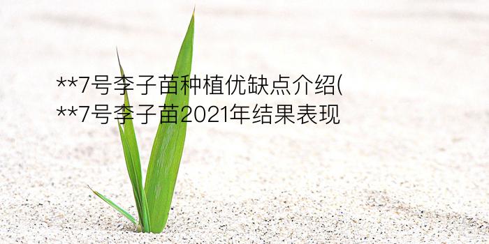 **7号李子苗种植优缺点介绍(**7号李子苗2021年结果表现)