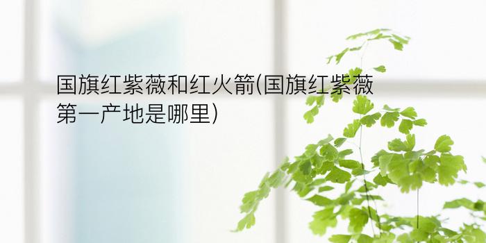 国旗红紫薇和红火箭(国旗红紫薇第一产地是哪里)