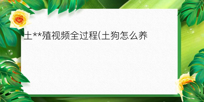 土**殖视频全过程(土狗怎么养)