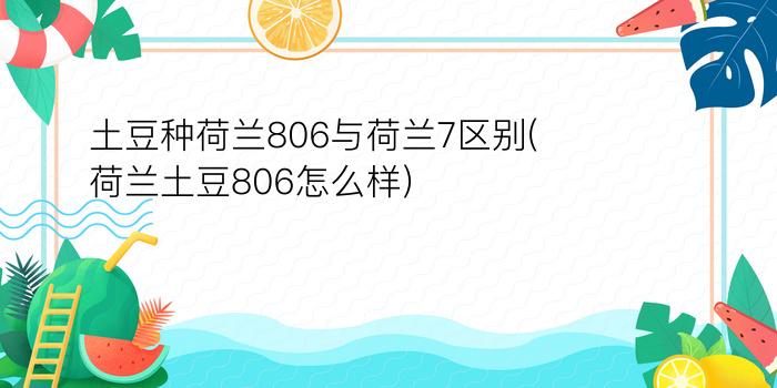 土豆种荷兰806与荷兰7区别(荷兰土豆806怎么样)