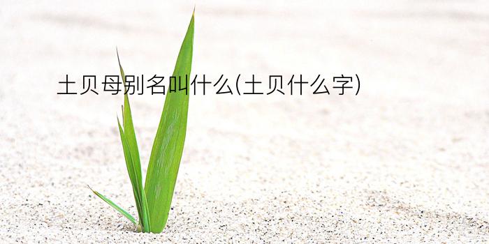 土贝母别名叫什么(土贝什么字)