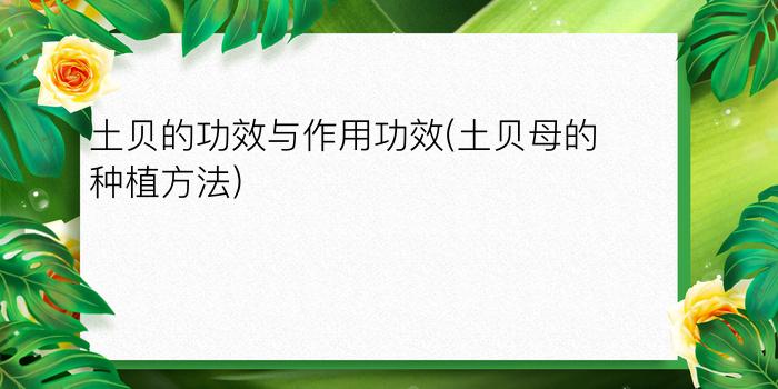 土贝的功效与作用功效(土贝母的种植方法)