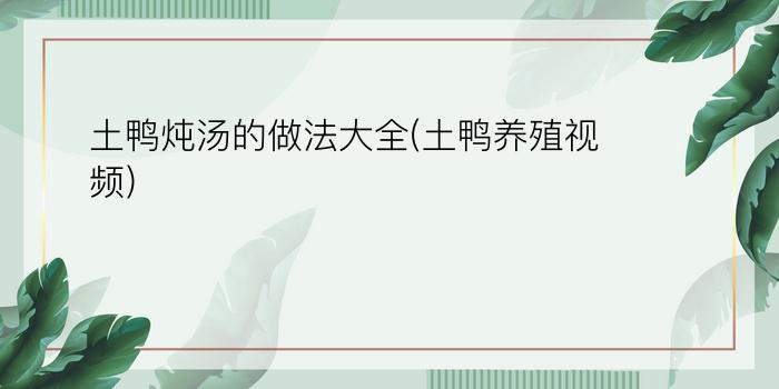 土鸭炖汤的做法大全(土鸭养殖视频)