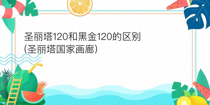 圣丽塔120和黑金120的区别(圣丽塔国家画廊)