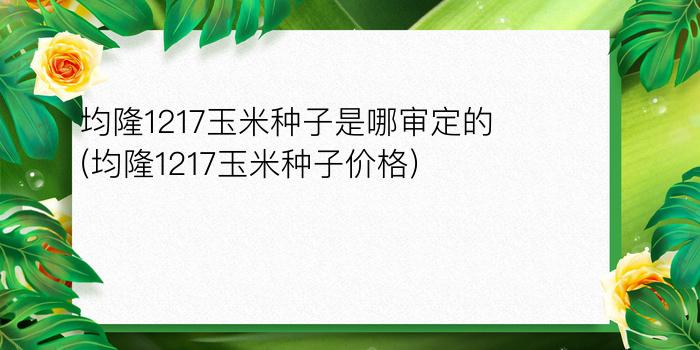 均隆1217玉米种子是哪审定的(均隆1217玉米种子价格)