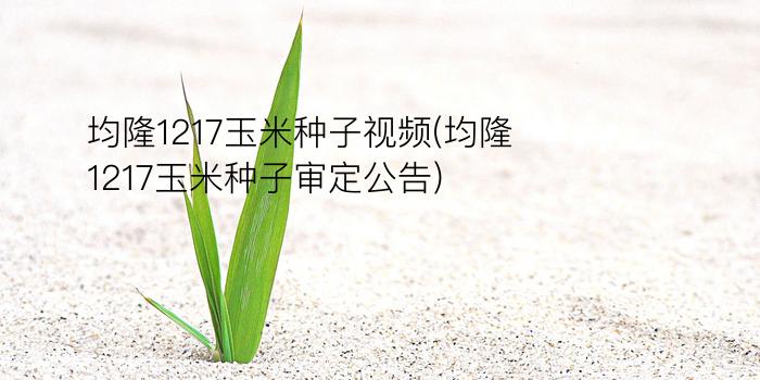 均隆1217玉米种子视频(均隆1217玉米种子审定公告)