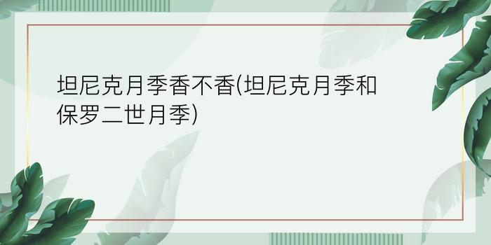 坦尼克月季香不香(坦尼克月季和保罗二世月季)