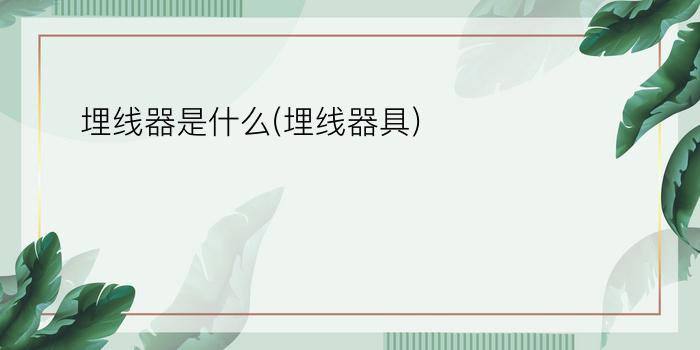 埋线器是什么(埋线器具)