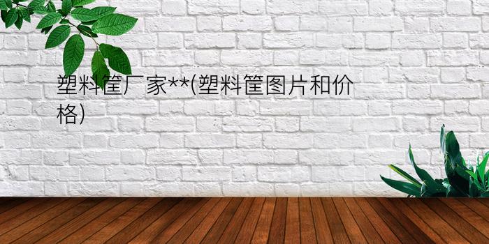 塑料筐厂家**(塑料筐图片和价格)