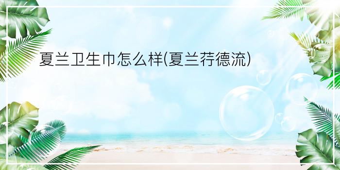 夏兰卫生巾怎么样(夏兰荇德流)