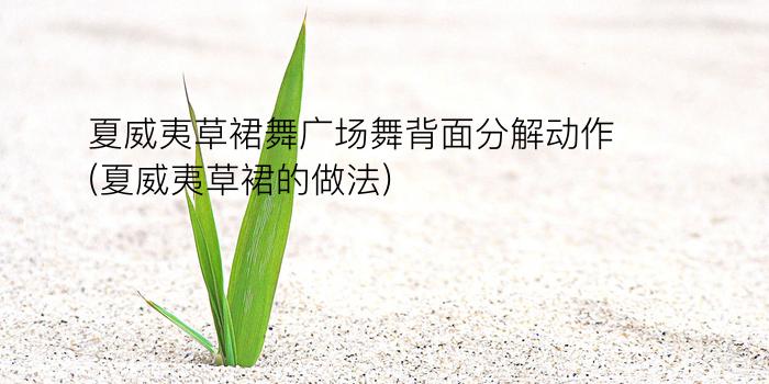 夏威夷草裙舞广场舞背面分解动作(夏威夷草裙的做法)