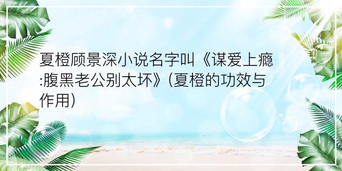 夏橙顾景深小说名字叫《谋爱上瘾:腹黑老公别太坏》(夏橙的功效与作用)