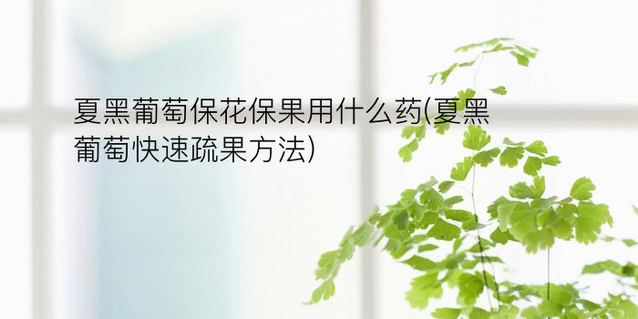 夏黑葡萄保花保果用什么药(夏黑葡萄快速疏果方法)