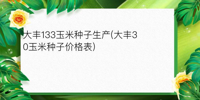 大丰133玉米种子生产(大丰30玉米种子价格表)