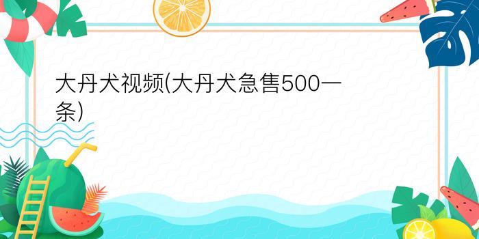 大丹犬视频(大丹犬急售500一条)