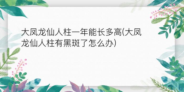 大凤龙仙人柱一年能长多高(大凤龙仙人柱有黑斑了怎么办)