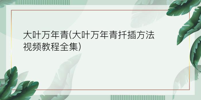 大叶万年青(大叶万年青扦插方法视频教程全集)