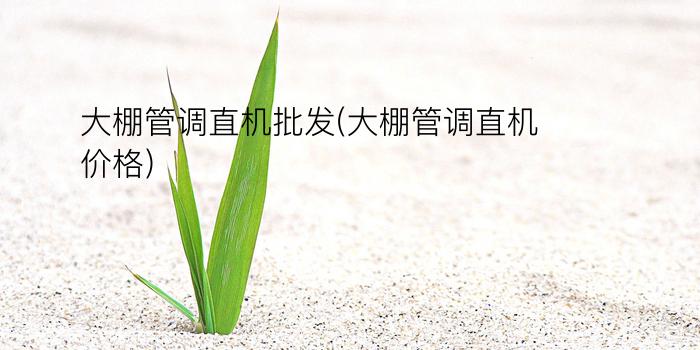 大棚管调直机批发(大棚管调直机价格)