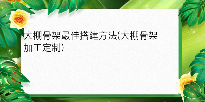 大棚骨架最佳搭建方法(大棚骨架加工定制)