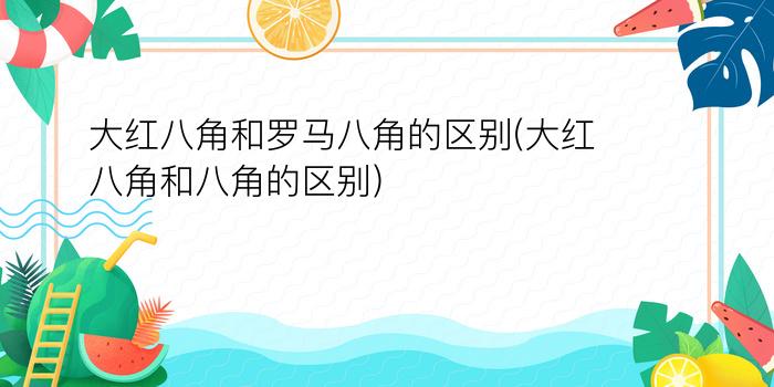 大红八角和罗马八角的区别(大红八角和八角的区别)