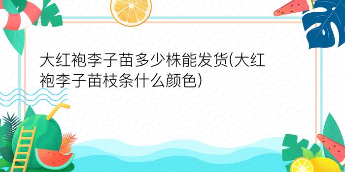 大红袍李子苗多少株能发货(大红袍李子苗枝条什么颜色)