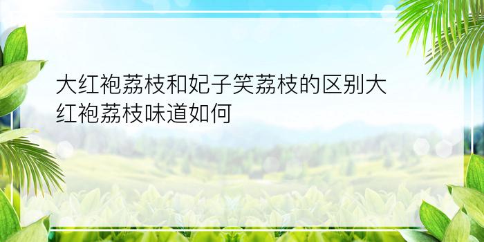 大红袍荔枝和妃子笑荔枝的区别?大红袍荔枝味道如何