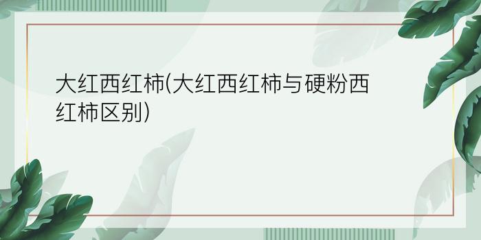 大红西红柿(大红西红柿与硬粉西红柿区别)