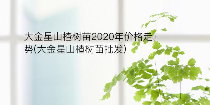 大金星山楂树苗2020年价格走势(大金星山楂树苗批发)