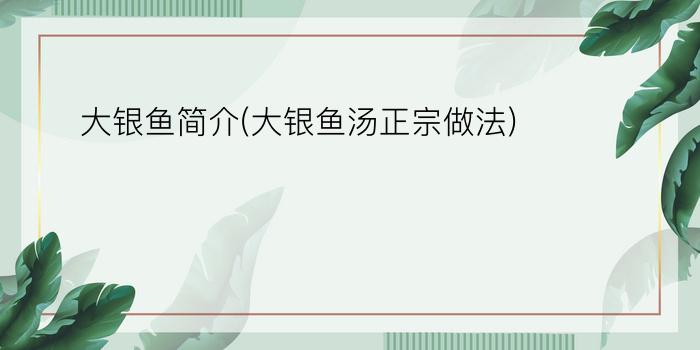 大银鱼简介(大银鱼汤正宗做法)