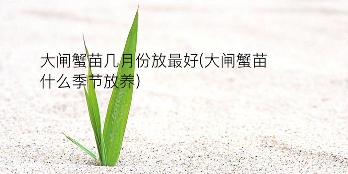 大闸蟹苗几月份放最好(大闸蟹苗什么季节放养)