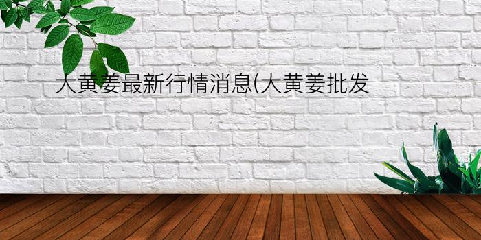 大黄姜最新行情消息(大黄姜批发)