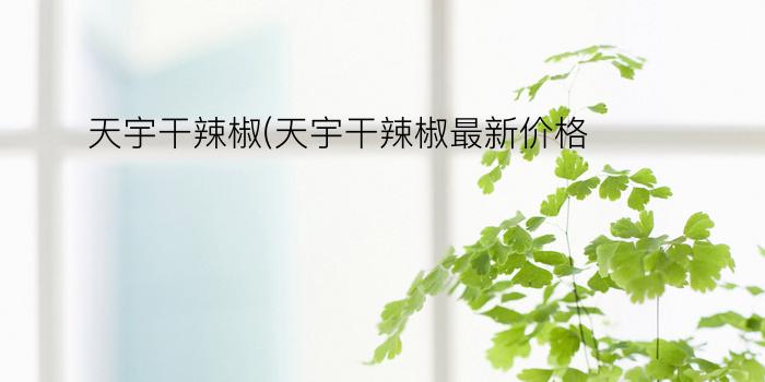 天宇干辣椒(天宇干辣椒最新价格)