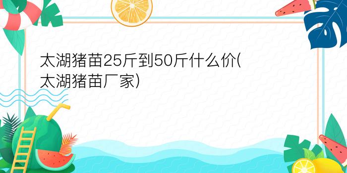 太湖猪苗25斤到50斤什么价(太湖猪苗厂家)