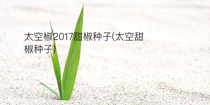 太空椒2017甜椒种子(太空甜椒种子)