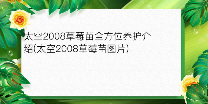 太空2008草莓苗全方位养护介绍(太空2008草莓苗图片)